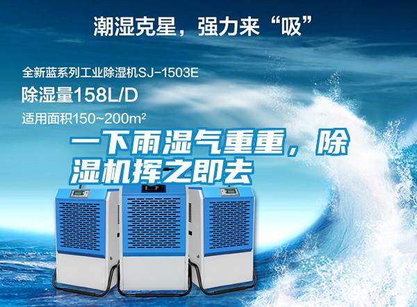一下雨濕氣重重，除濕機揮之即去