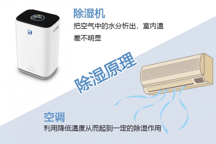 南方梅雨季，怎樣不讓“霉運”肆無忌憚？