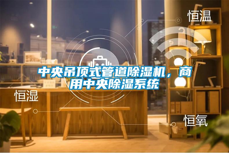 中央吊頂式管道除濕機，商用中央除濕系統
