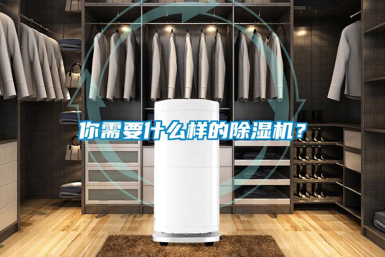 你需要什么樣的除濕機？