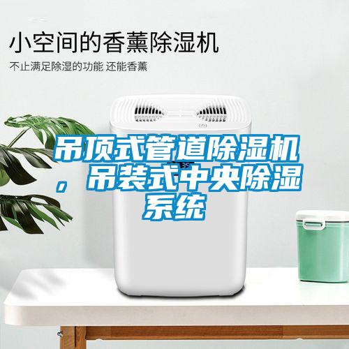 吊頂式管道除濕機，吊裝式中央除濕系統