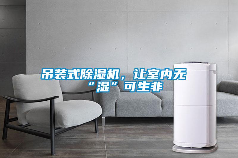 吊裝式除濕機，讓室內無“濕”可生非