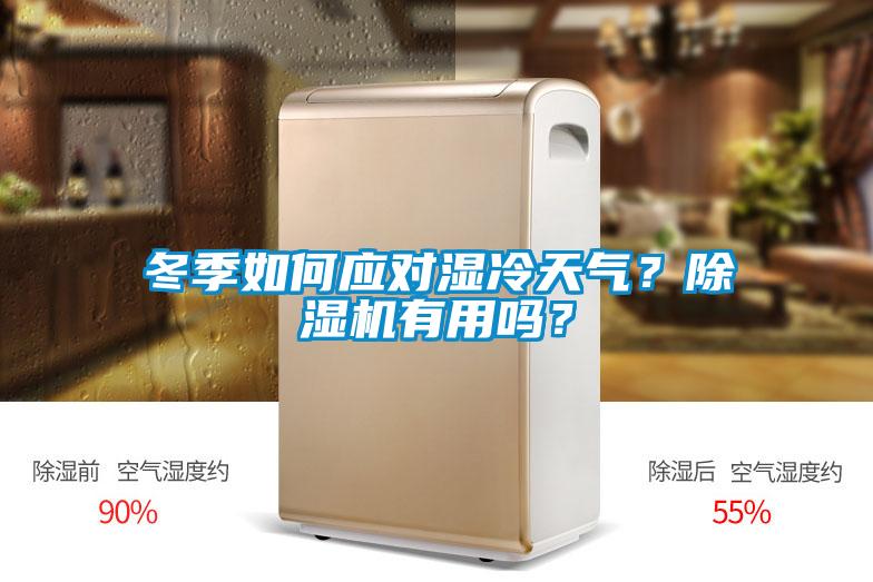 冬季如何應對濕冷天氣？除濕機有用嗎？