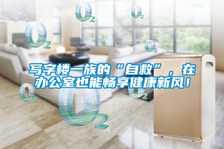 寫字樓一族的“自救”，在辦公室也能暢享健康新風！