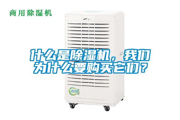 什么是除濕機，我們為什么要購買它們？