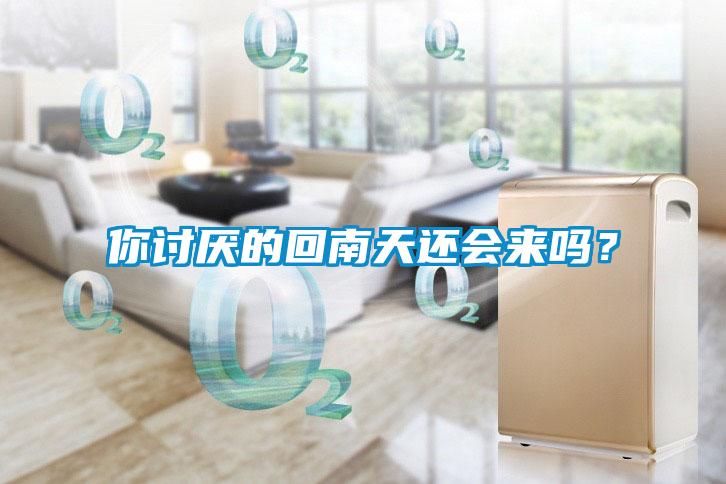 你討厭的回南天還會來嗎？