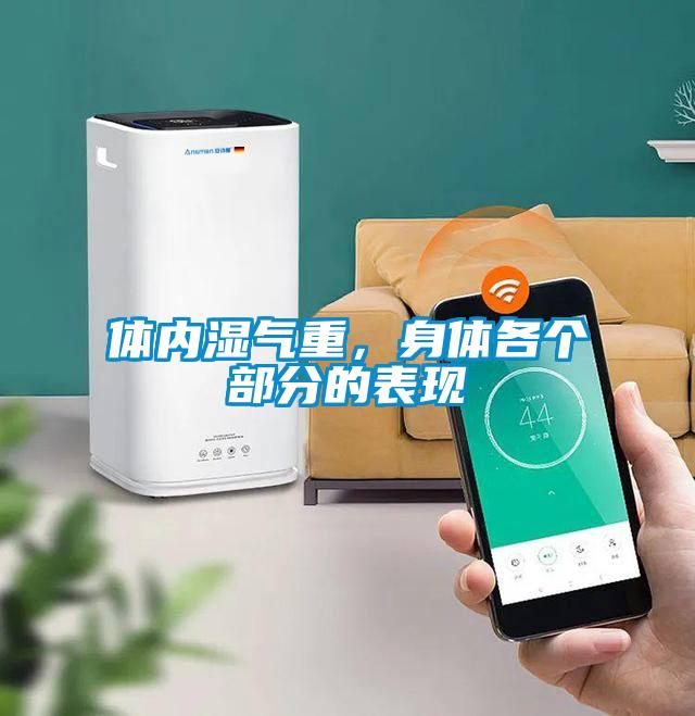 體內濕氣重，身體各個部分的表現