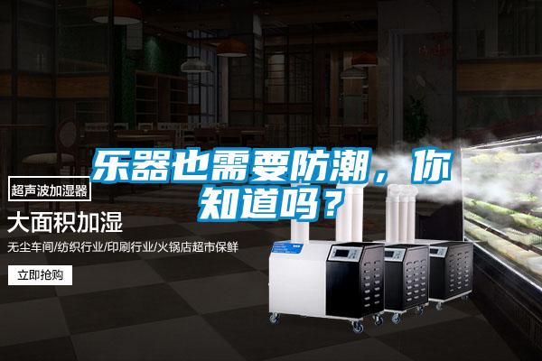 樂器也需要防潮，你知道嗎？