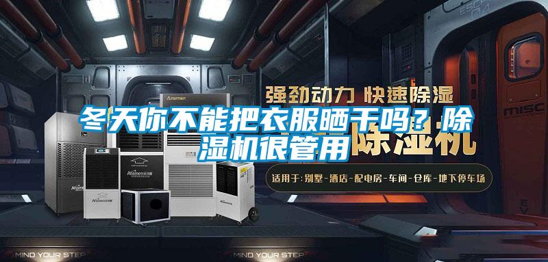 冬天你不能把衣服曬干嗎？除濕機很管用