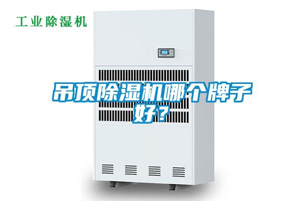 吊頂除濕機哪個牌子好？