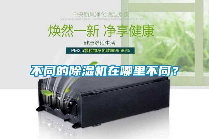 不同的除濕機在哪里不同？