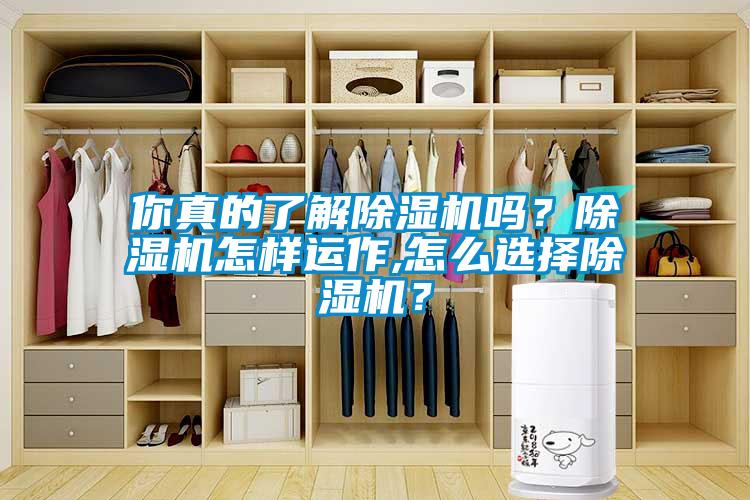 你真的了解除濕機嗎？除濕機怎樣運作,怎么選擇除濕機？