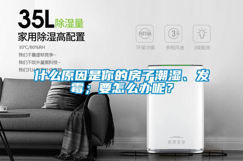 什么原因是你的房子潮濕、發霉；要怎么辦呢？