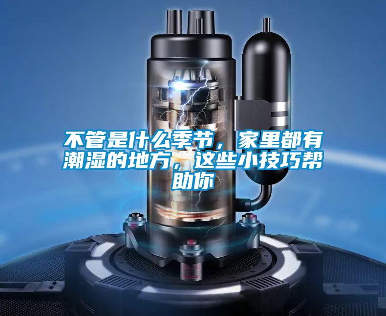 不管是什么季節，家里都有潮濕的地方，這些小技巧幫助你