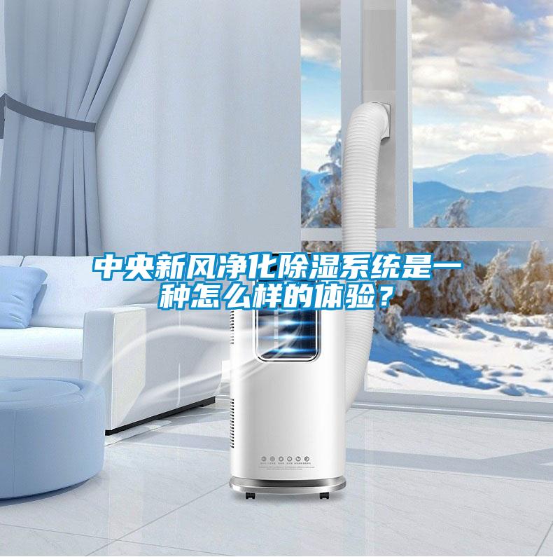 中央新風凈化除濕系統是一種怎么樣的體驗？