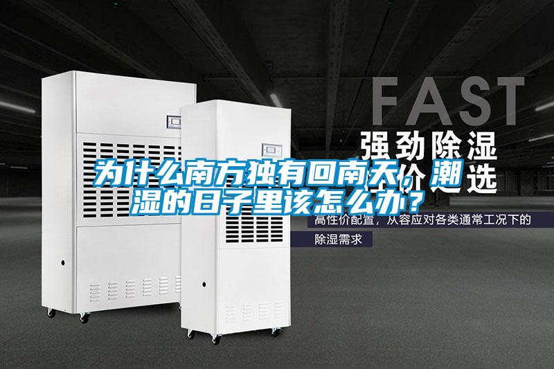 為什么南方獨有回南天，潮濕的日子里該怎么辦？
