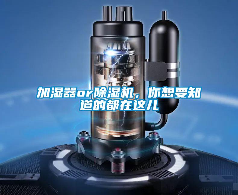 加濕器or除濕機，你想要知道的都在這兒