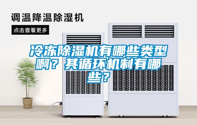 冷凍除濕機有哪些類型??？其循環機制有哪些？