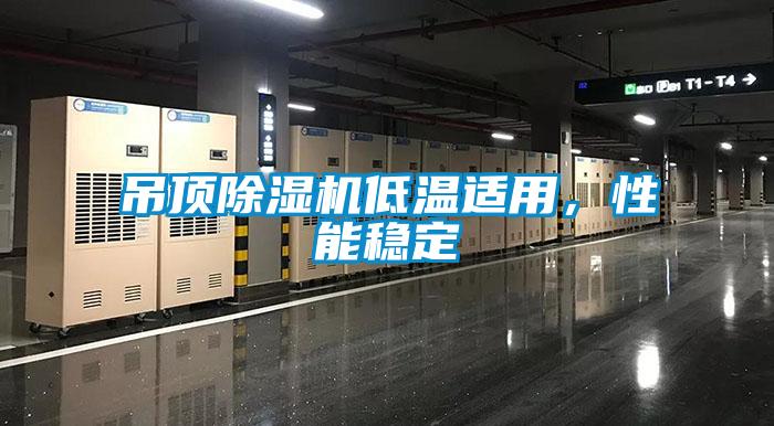 吊頂除濕機低溫適用，性能穩定
