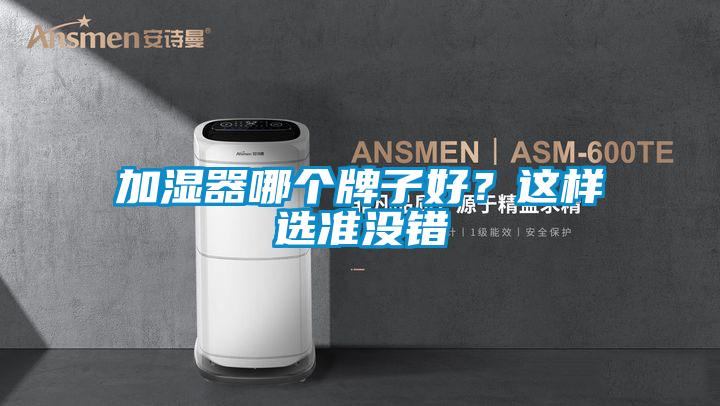加濕器哪個牌子好？這樣選準沒錯
