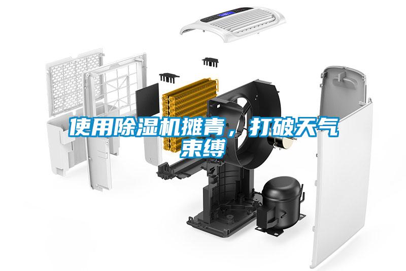 使用除濕機攤青，打破天氣束縛