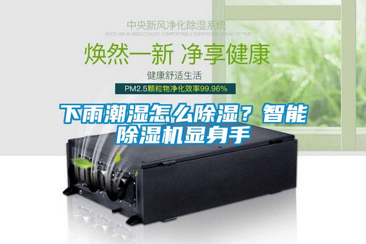 下雨潮濕怎么除濕？智能除濕機顯身手