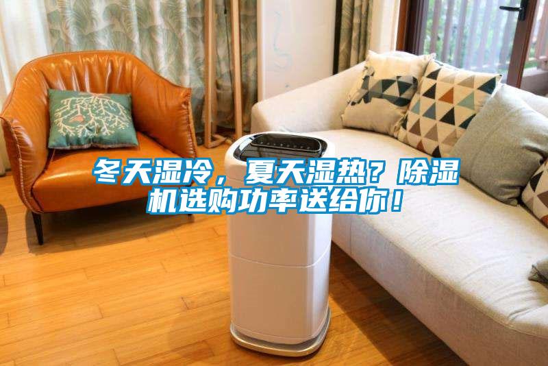 冬天濕冷，夏天濕熱？除濕機選購功率送給你！