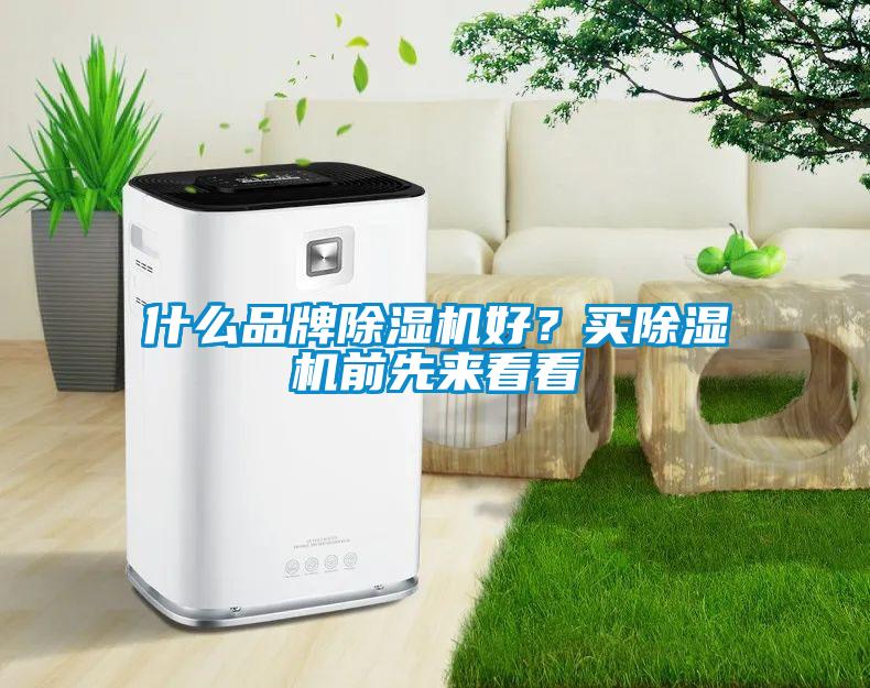 什么品牌除濕機好？買除濕機前先來看看