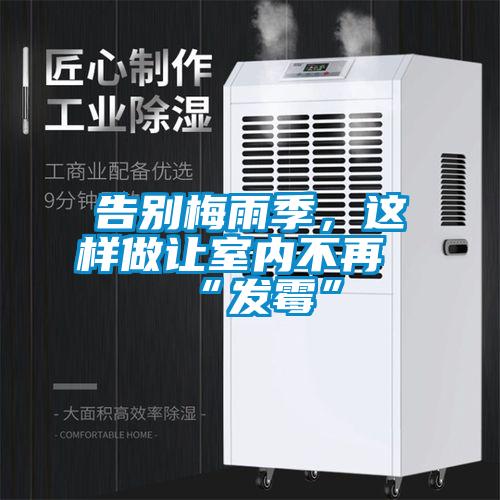 告別梅雨季，這樣做讓室內不再“發霉”