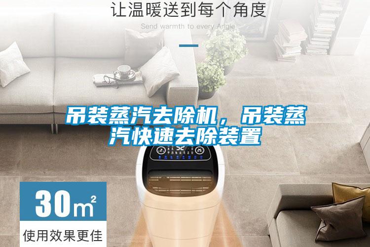 吊裝蒸汽去除機，吊裝蒸汽快速去除裝置