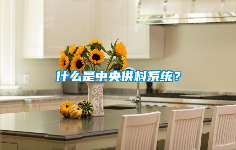 什么是中央供料系統？