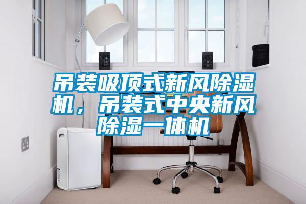 吊裝吸頂式新風除濕機，吊裝式中央新風除濕一體機