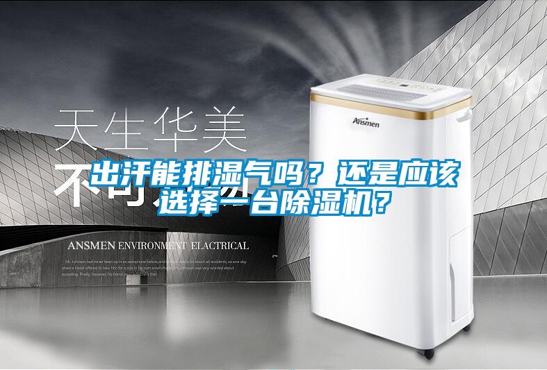出汗能排濕氣嗎？還是應該選擇一臺除濕機？