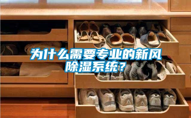 為什么需要專業的新風除濕系統？