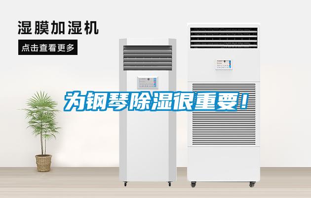 為鋼琴除濕很重要！