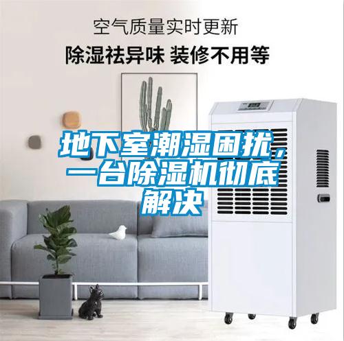 地下室潮濕困擾，一臺除濕機徹底解決