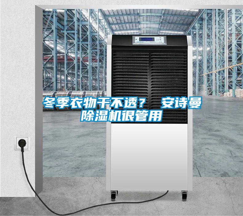 冬季衣物干不透？ 安詩曼除濕機很管用