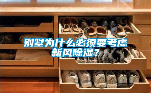 別墅為什么必須要考慮新風除濕？