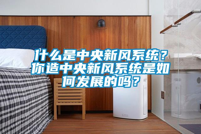 什么是中央新風系統？你造中央新風系統是如何發展的嗎？