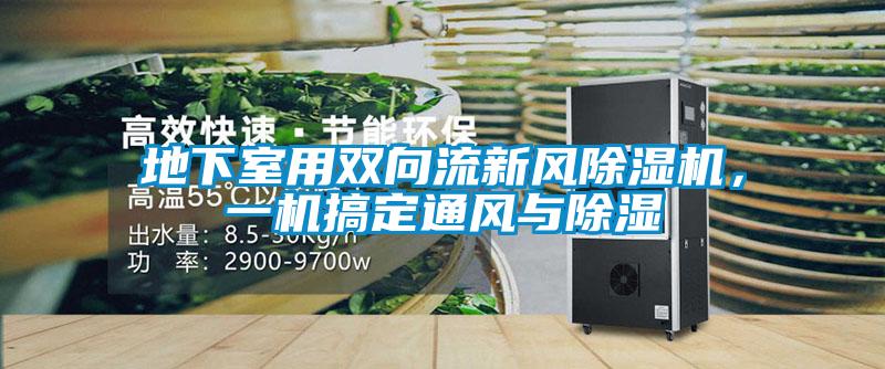 地下室用雙向流新風除濕機，一機搞定通風與除濕