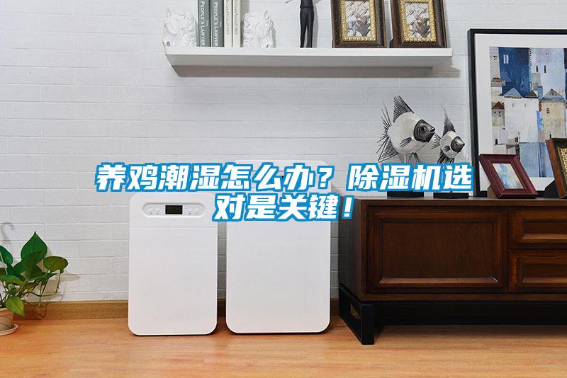 養雞潮濕怎么辦？除濕機選對是關鍵！