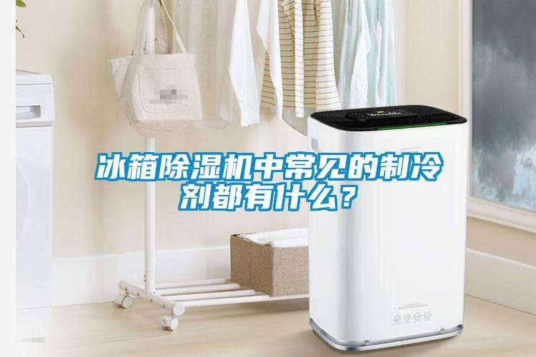 冰箱除濕機中常見的制冷劑都有什么？
