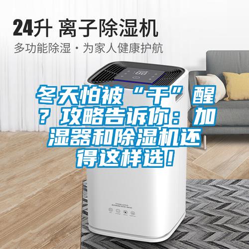 冬天怕被“干”醒？攻略告訴你：加濕器和除濕機還得這樣選！
