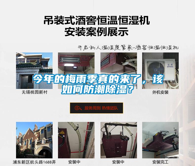 今年的梅雨季真的來了，該如何防潮除濕？