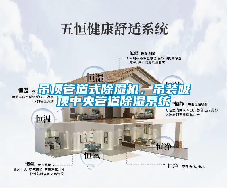 吊頂管道式除濕機，吊裝吸頂中央管道除濕系統