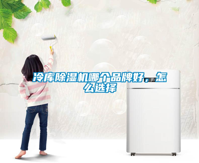冷庫除濕機哪個品牌好，怎么選擇
