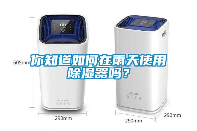 你知道如何在雨天使用除濕器嗎？