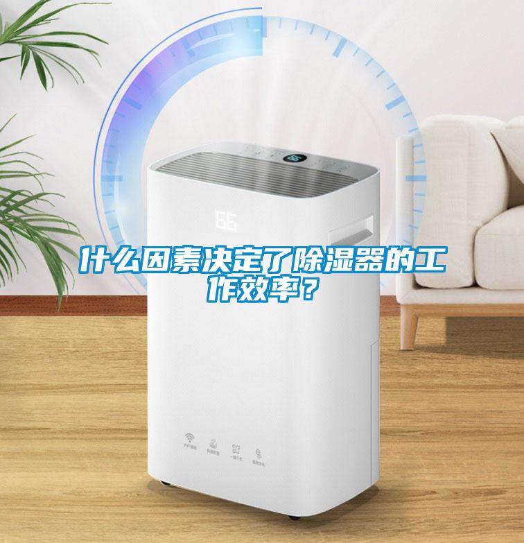 什么因素決定了除濕器的工作效率？