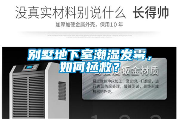別墅地下室潮濕發霉，如何拯救？