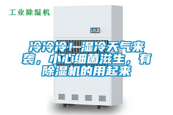 冷冷冷！濕冷天氣來襲，小心細菌滋生，有除濕機的用起來